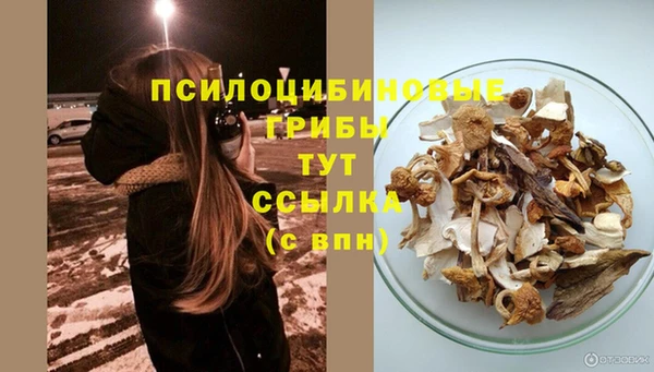 сатива Володарск