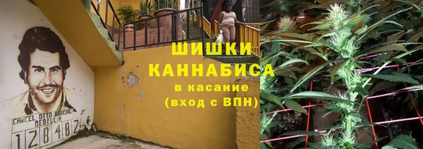 сатива Володарск