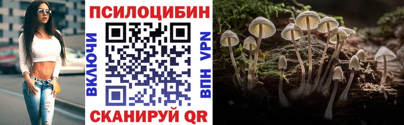 Псилоцибиновые грибы Psilocybe  Ишимбай 